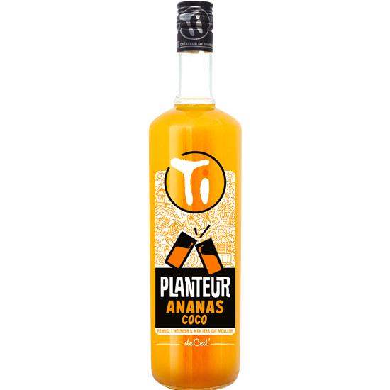TI CED Planteur Ananas Coco